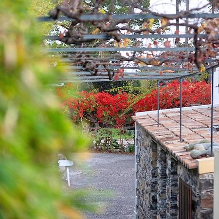 Apartament Ourmadeira - Loja Da Lenha, Charming Funchal  Zewnętrze zdjęcie