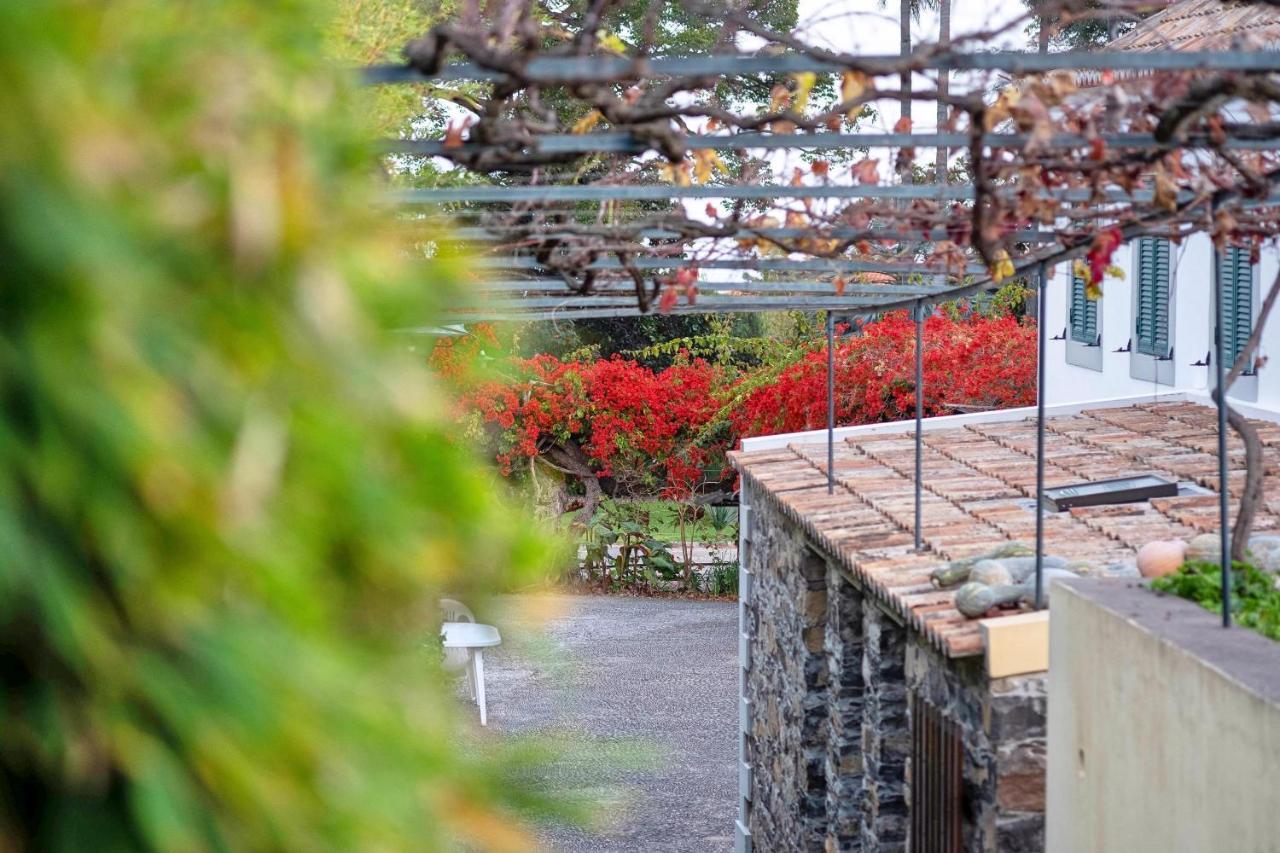 Apartament Ourmadeira - Loja Da Lenha, Charming Funchal  Zewnętrze zdjęcie