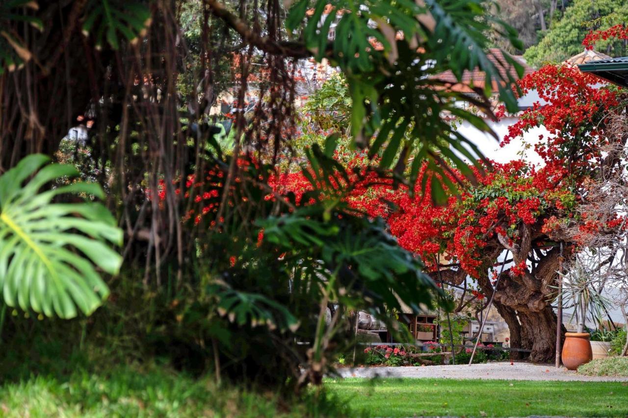Apartament Ourmadeira - Loja Da Lenha, Charming Funchal  Zewnętrze zdjęcie
