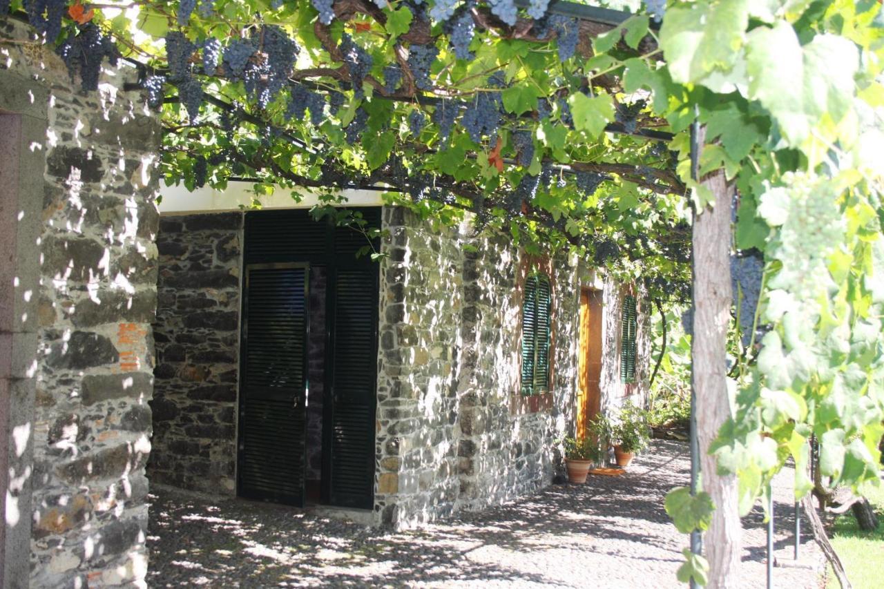 Apartament Ourmadeira - Loja Da Lenha, Charming Funchal  Zewnętrze zdjęcie
